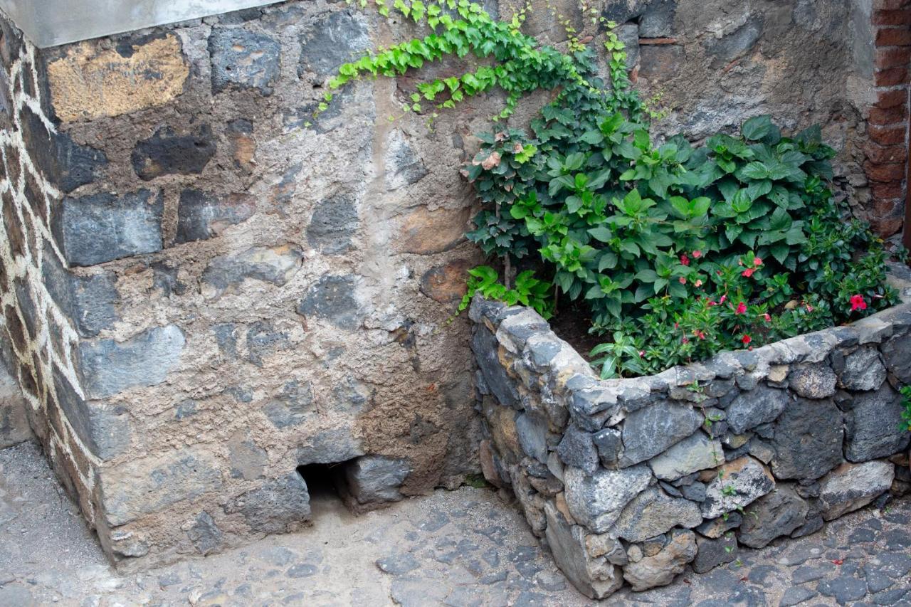Hacienda Los Orovales Puerto de la Cruz  Exterior foto